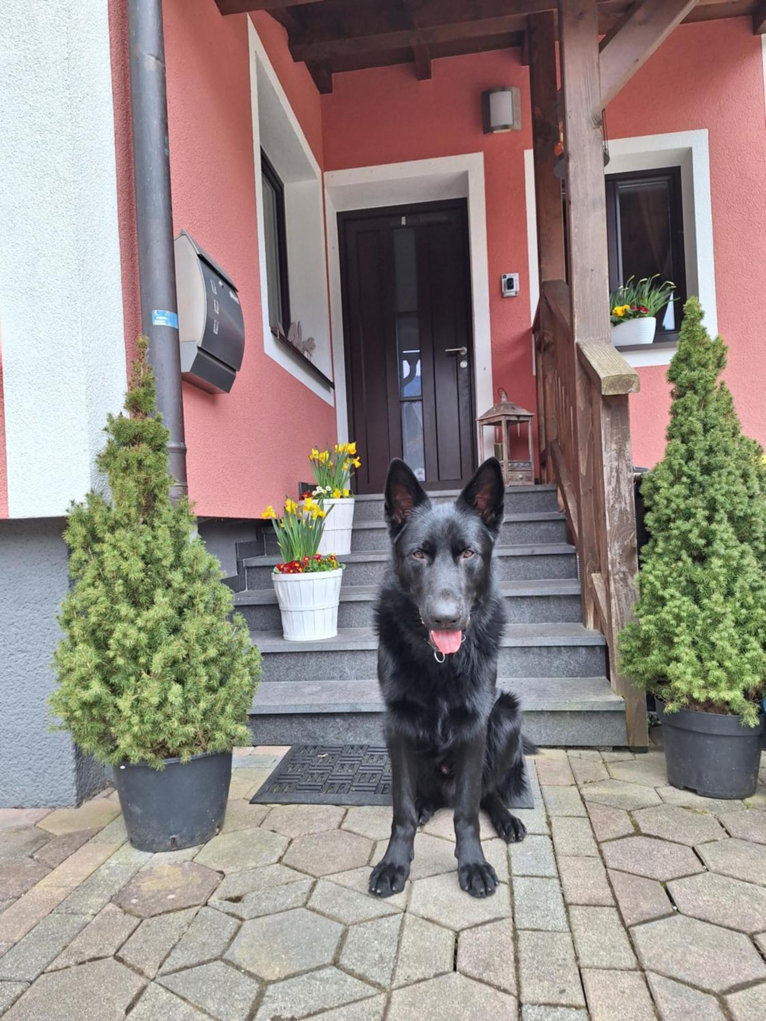 Haus Hoell Herta Hallstatt Exteriér fotografie