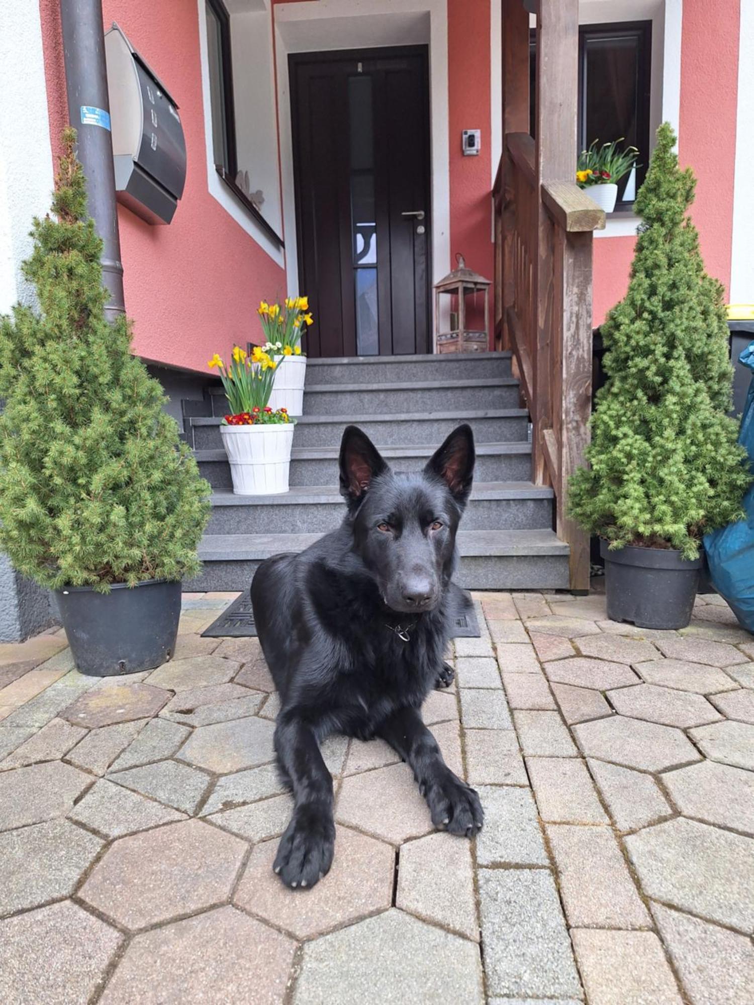 Haus Hoell Herta Hallstatt Exteriér fotografie
